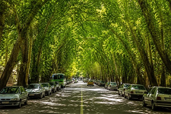  تونل درختی خوانسار
