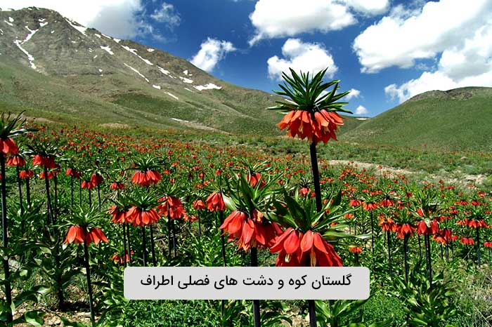 گلستانکوه و دشت های فصلی اطراف