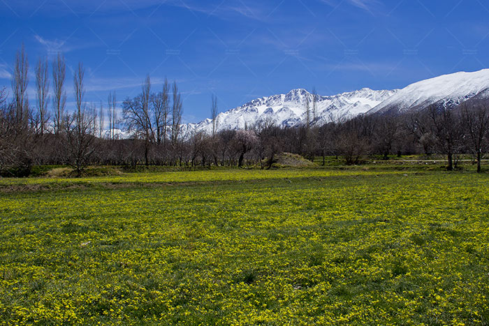 چهارباغ خوانسار کجاست