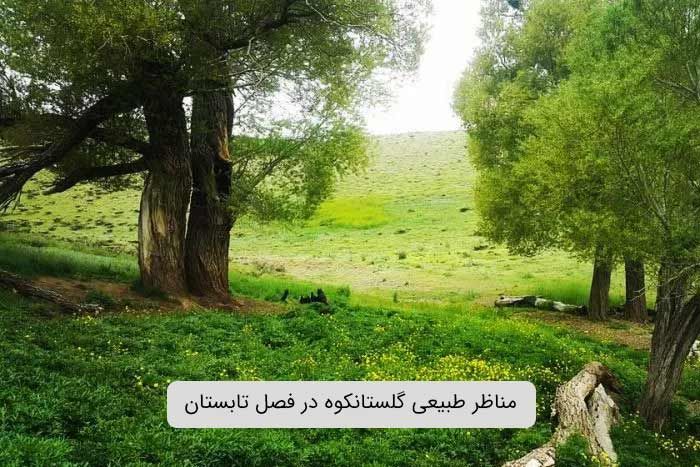 مناظر طبیعی گلستانکوه در فصل تابستان