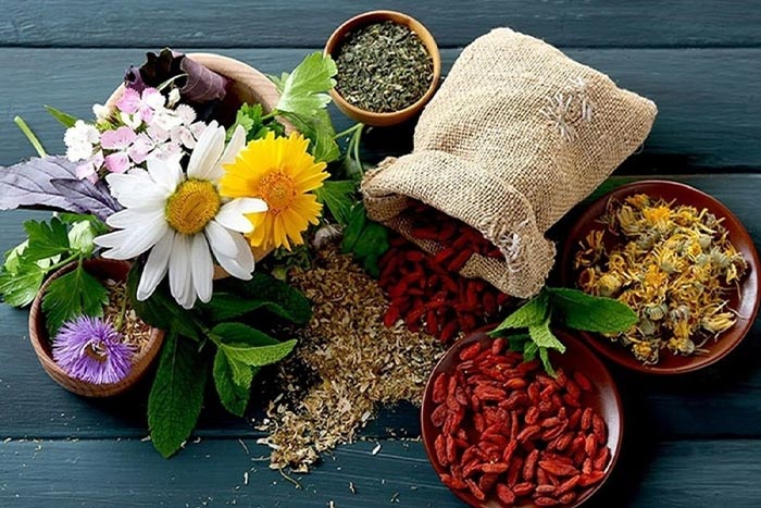 گیاهان دارویی